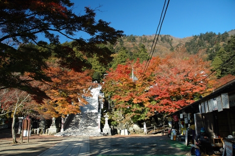 茶店が並ぶ広場から下社の石段と周囲の紅葉を眺める