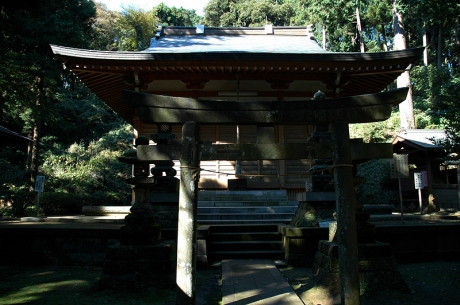 熊野神社の本殿と鳥居