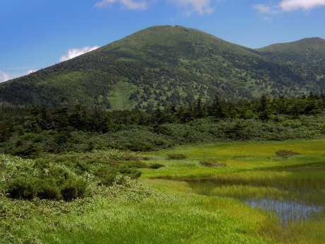 田茂萢湿原から赤倉岳の眺め