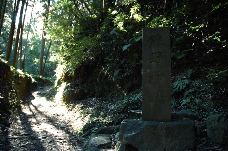 熊野神社に向かう道との分岐にたどり着く
