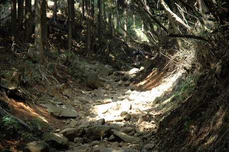 ガレた道を登っていく