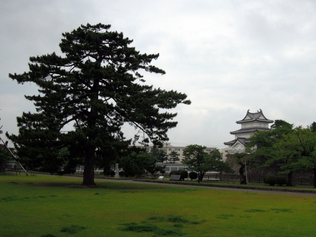 新発田城址公園に到着
