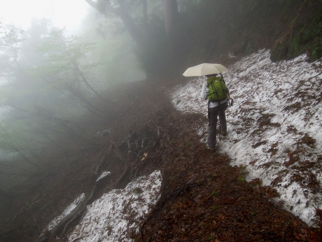残雪