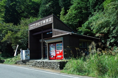 バスでヤビツ峠に到着