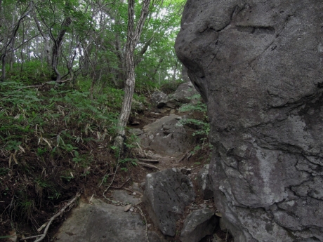 山頂手前の岩場