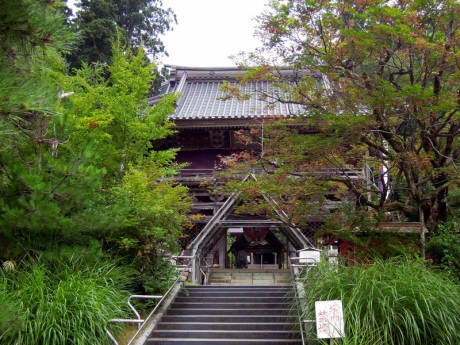 変化に富む参道の木立と山門