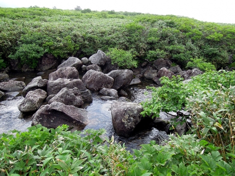 沢に出る