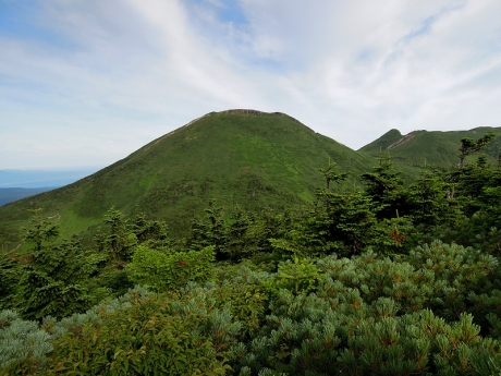 ハイマツの向こうに大岳