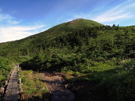 仙人岱湿原から大岳の眺め