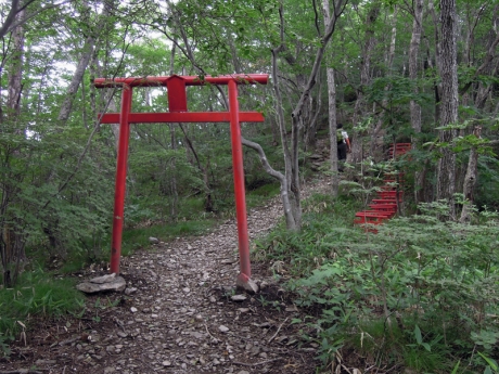 赤い鳥居が立つ分岐に出る