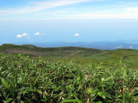 笹原と日本海
