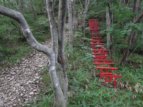 道の脇には奉納された鳥居が並ぶ