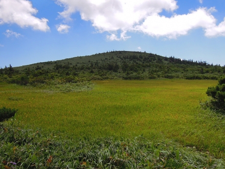 高山植物展望台からの眺め