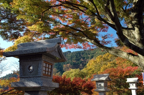 石灯籠と紅葉のグラデーション
