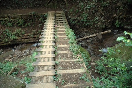 日向川に通じる沢をわたる