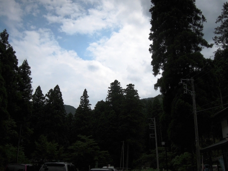 杉並木の向こうに山の頂が少しだけ見える