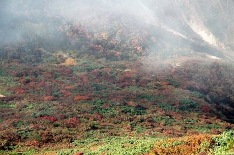山頂近くから北面の紅葉を眺める