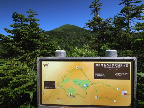 登山道との分岐にある案内図と赤倉岳