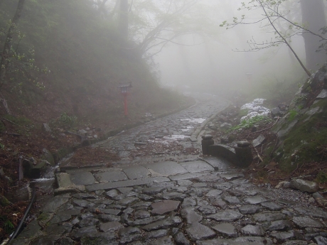 無明の橋