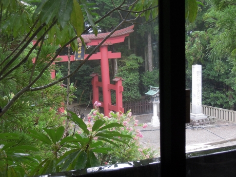 旅館の部屋から見た彌彦神社の一の鳥居