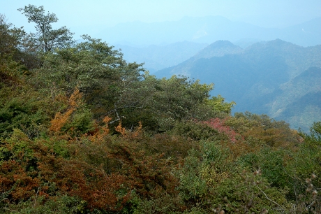 山頂付近の紅葉