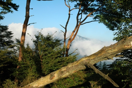 尾根の東側、表尾根は雲に隠れている