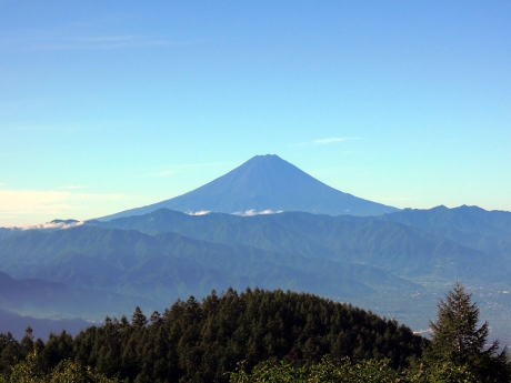 樹林を抜け富士山を眺める