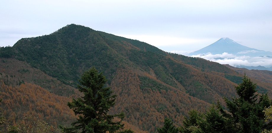 大菩薩峠の南にそびえる小金沢山に登る 登山道の紅葉がきれいだった 楽土慢遊