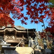 鮮やかな秋色に染まった大山寺に参る―2007紅葉の丹沢・大山　その一